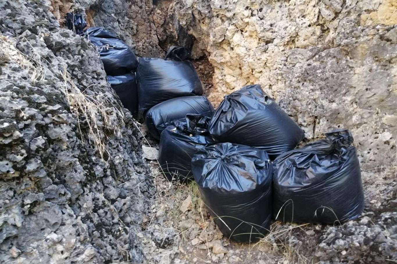 Diyarbakır'da bir ton esrar maddesi ile 247 bin kök kenevir bitkisi ele geçirildi